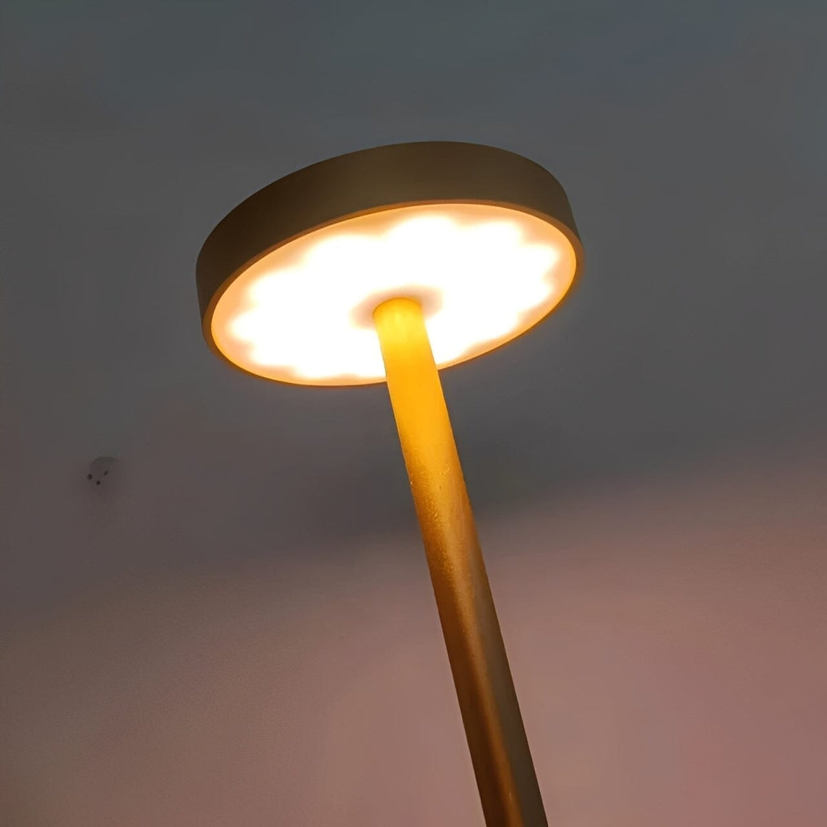 Luminária Móvel Touch de Mesa - Candeeiro e Abajur Earth Abajur - 0019 Conceito 